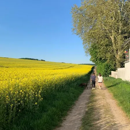 Apartment Am Entenplatz Eltville am Rhein